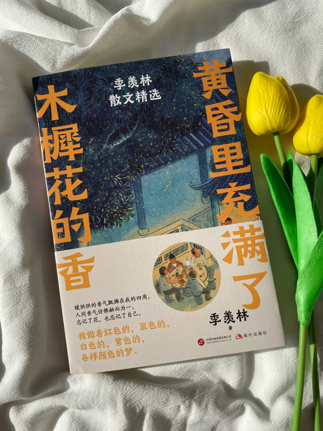 📚 治愈系散文天花板｜文字美到让人窒息！！