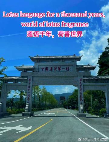 中国-江西抚州(广昌县姚西村-中国莲花第一村)
