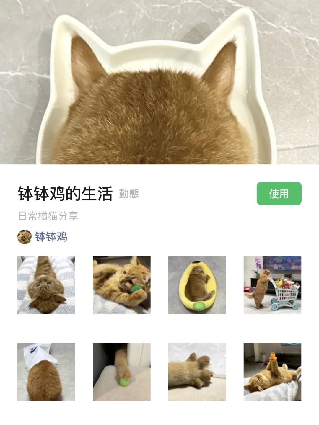 「钵钵鸡的生活」表情包已上线🐾