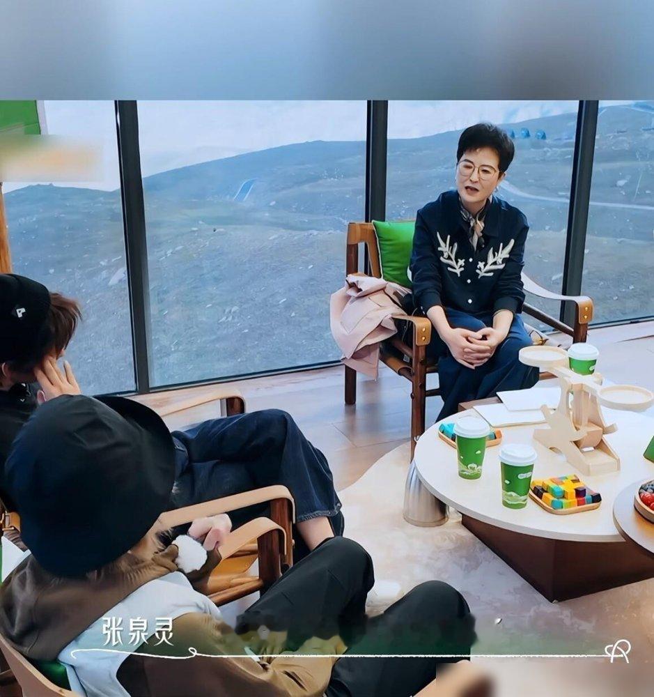 厉娜当着镜头甩出那句“你告发我接私活，害我七年没通告”，许飞脸都僵了。
她第一反应是硬刚，说“从来没有”，语气愤怒又委屈。结果张泉灵只追问了一句，她就改口了——“很有可能说，对，这很正常”。再问细节，就三个字，不记得了。
十年前她当众质问尚雯婕不回私信，把自己演成受害者。十年后角色互换，她成了被