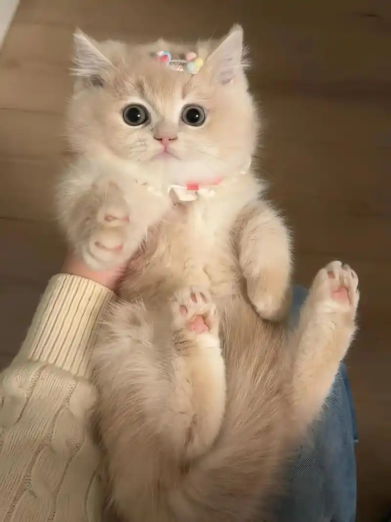 漂亮、高情商、说话舒服的女人，注意，小心。你以为她对你有好感？可能她对...