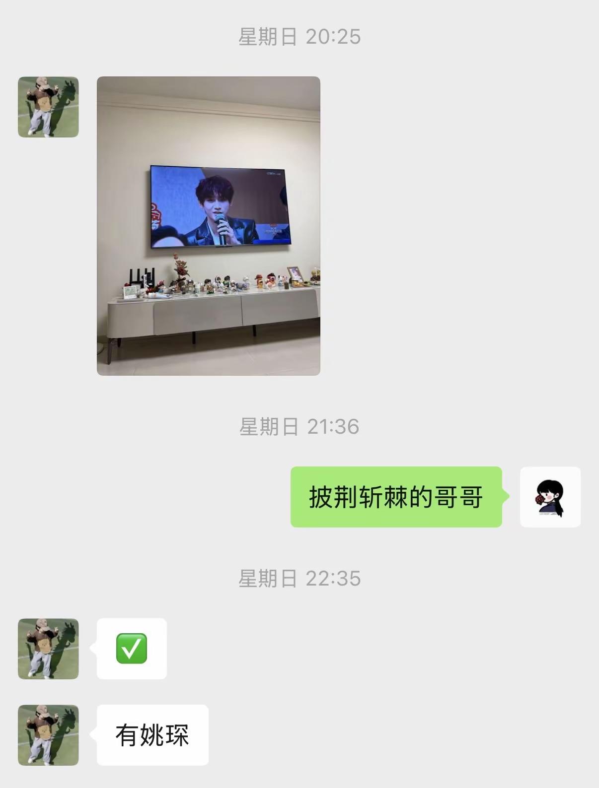 披荆斩棘的哥哥。无需多说姚琛 姚琛披荆斩棘