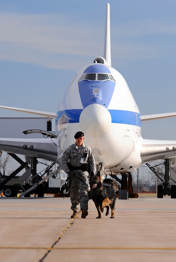 🇺🇸E-4B“守夜者”空中战略指挥中枢