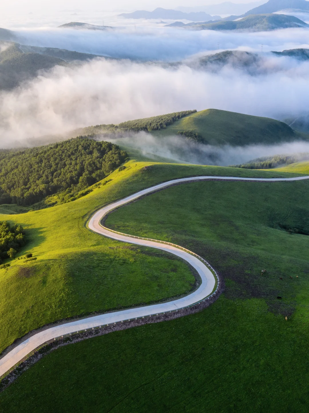 先出发再说｜22℃避暑天堂‼️自驾百里天路