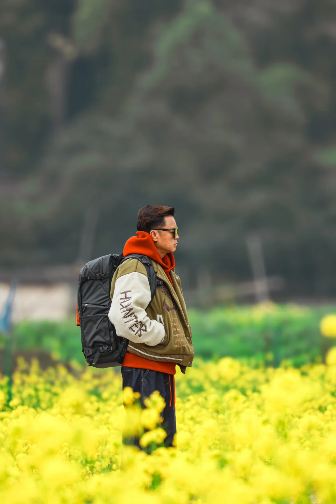 驿路花田，金色油菜花盛开🌈❤️