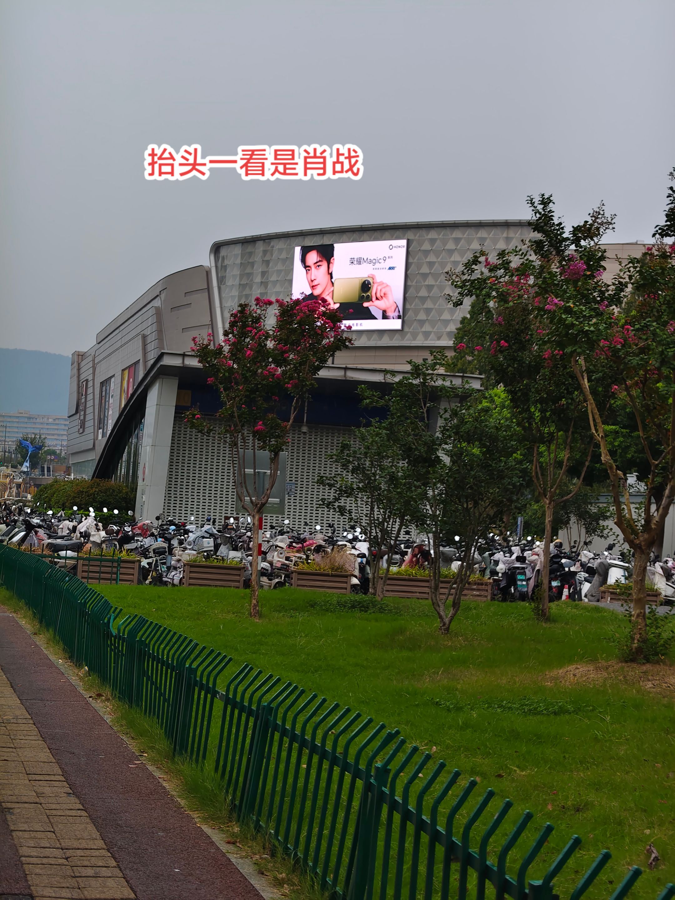 肖战