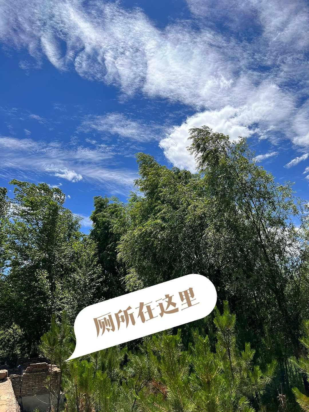 大同｜露营万泉河烧烤厕所在哪里🧐攻略