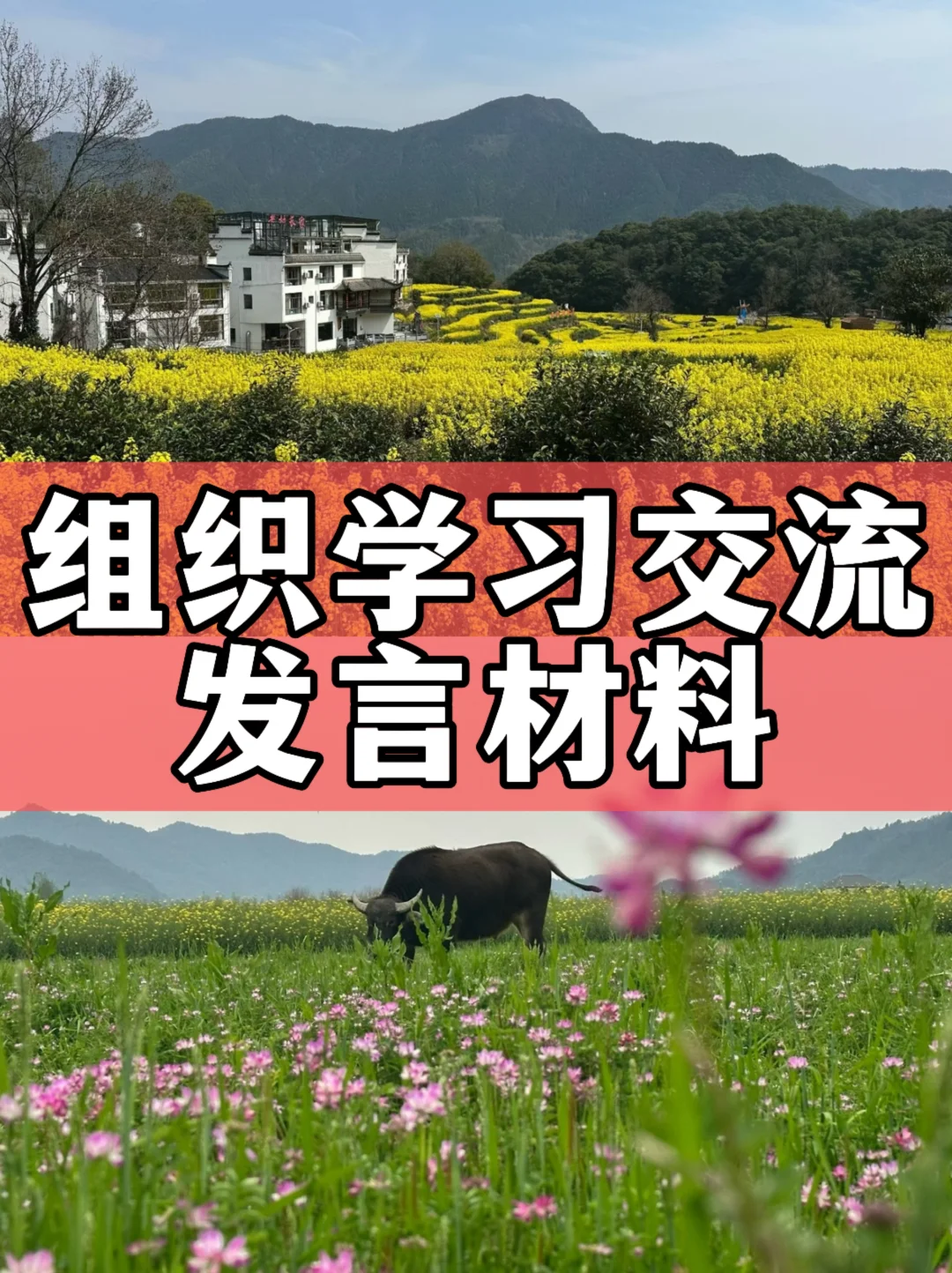 体制内：组织交流学习发言材料