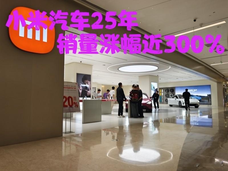 小米汽车在2025年可太猛了！易车公布的乘用车零售销量排行榜里，它全...
