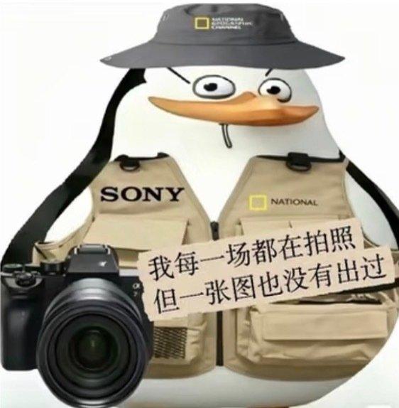 偶尔也看点别的
恭迎索尼sd卡失而复得（其实掉办公室桌缝了） ​