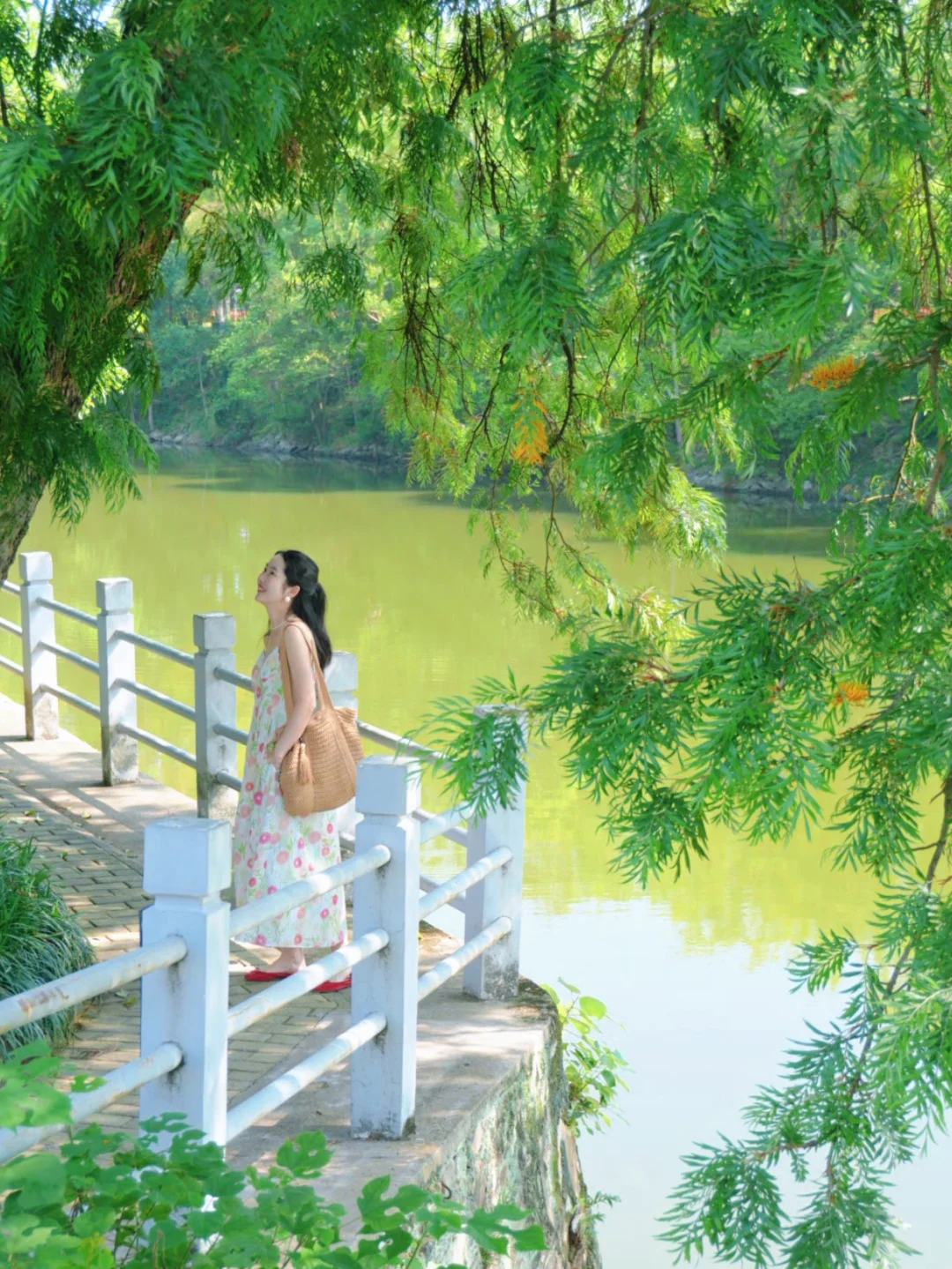 赣州🌳真的愿意去一万次的生命力公园！