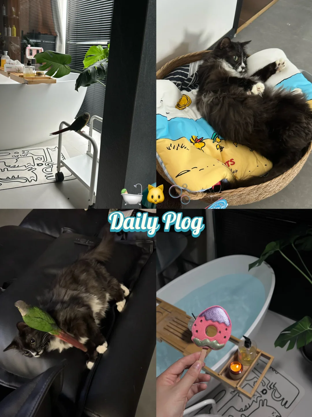 人宠幸福感拉满💛被史努比狠狠拿捏了🫧