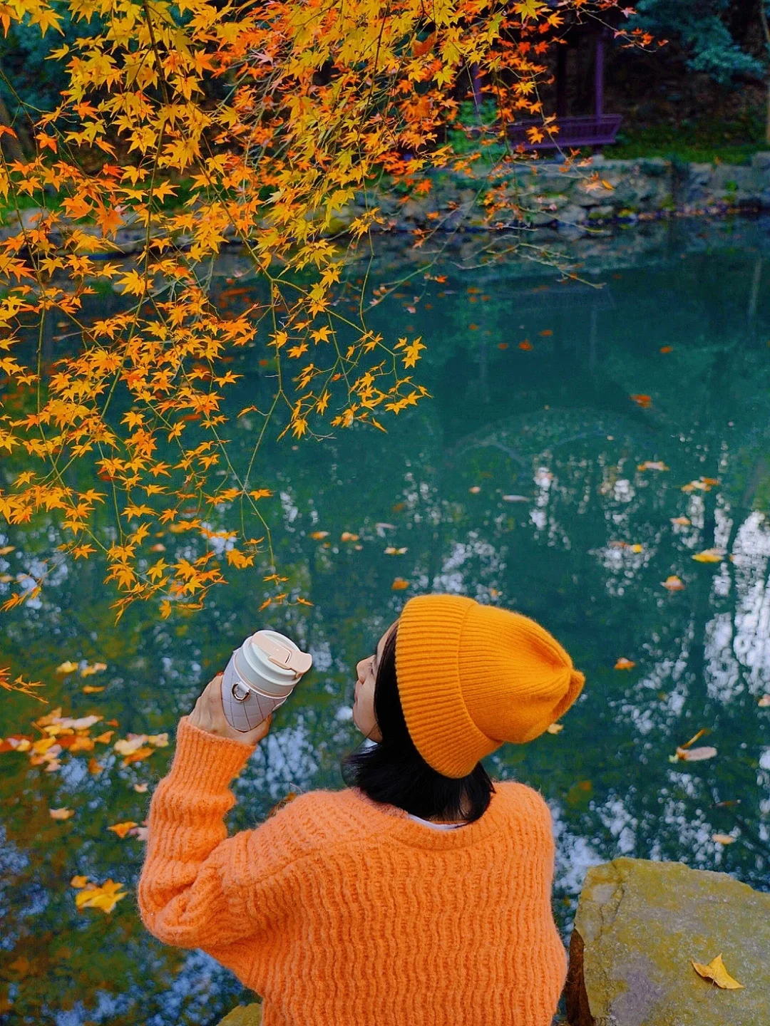 公园浪费时间指北｜西湖边的绝美赏枫秘境❗️