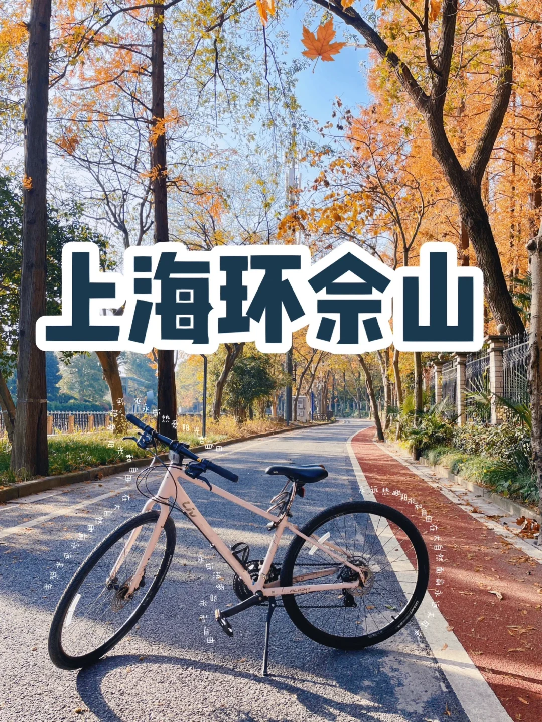 🚴骑完再封车 |佘山最美骑行路线，冬骑打卡