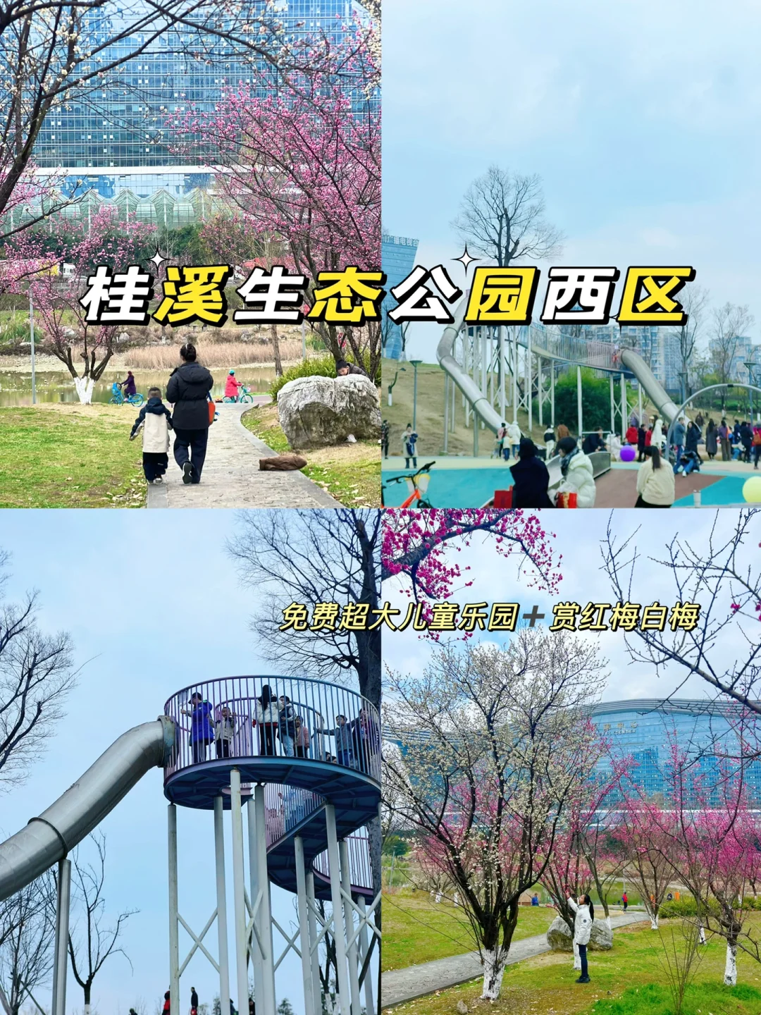 春天来了啊‼️桂溪生态公园遛娃赏花全攻略