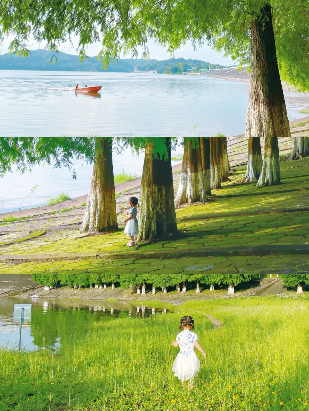 南宁周边大王滩露营｜get宫崎骏里的风景