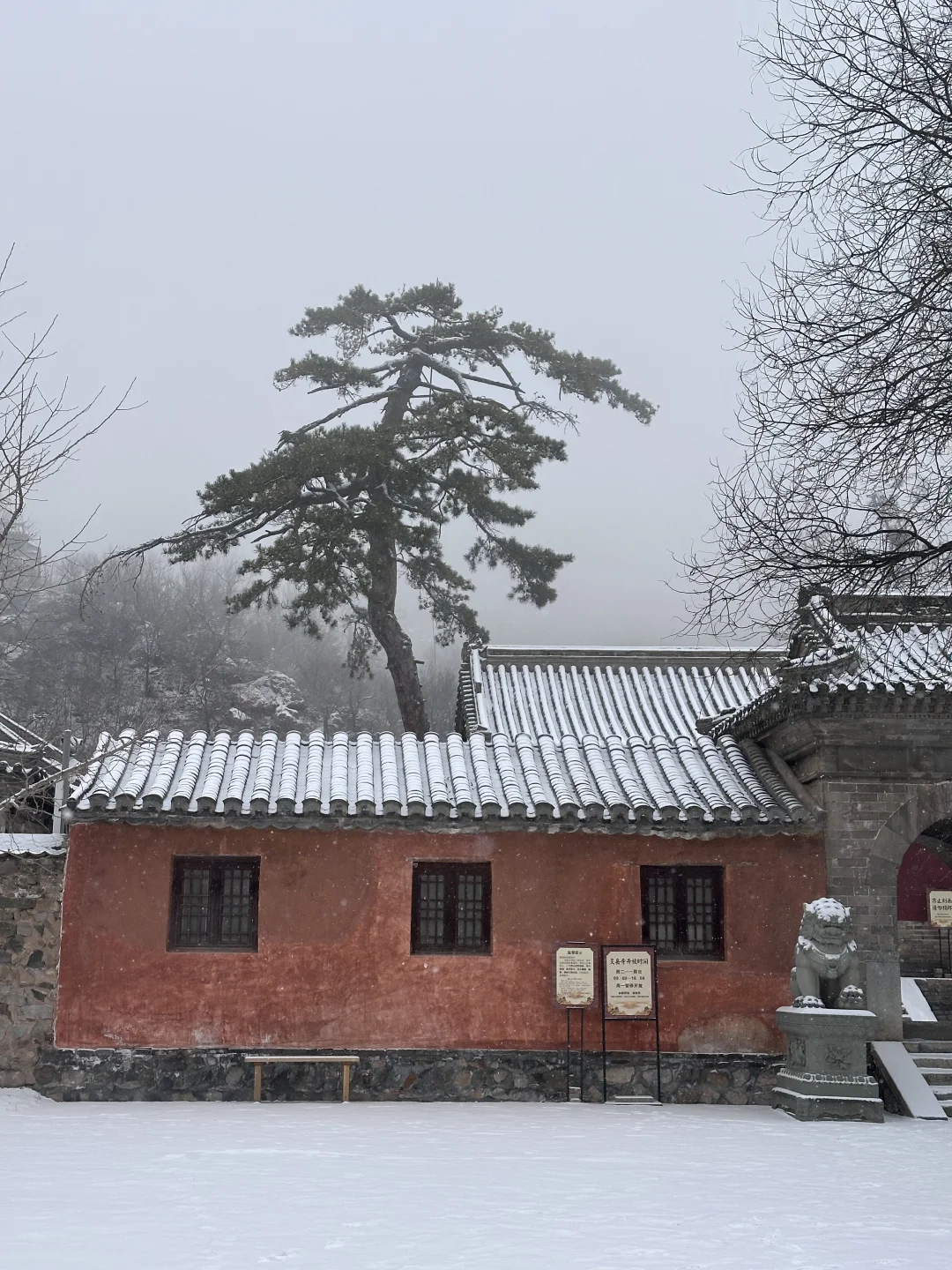此刻的灵岳寺❄️包场千年古寺雪景，啊啊啊！