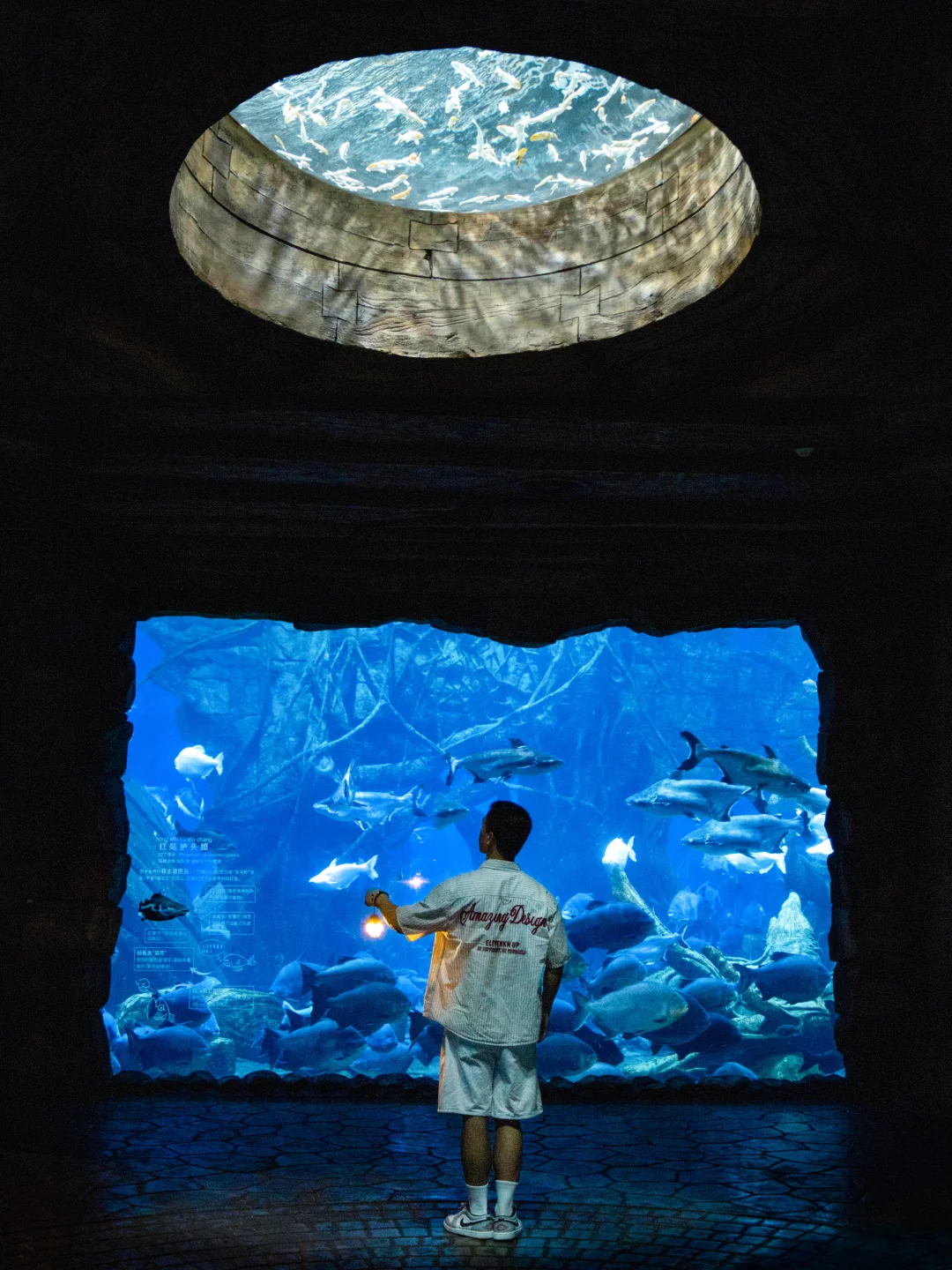 迄今为止，我去过最疯狂的动物园出现了….