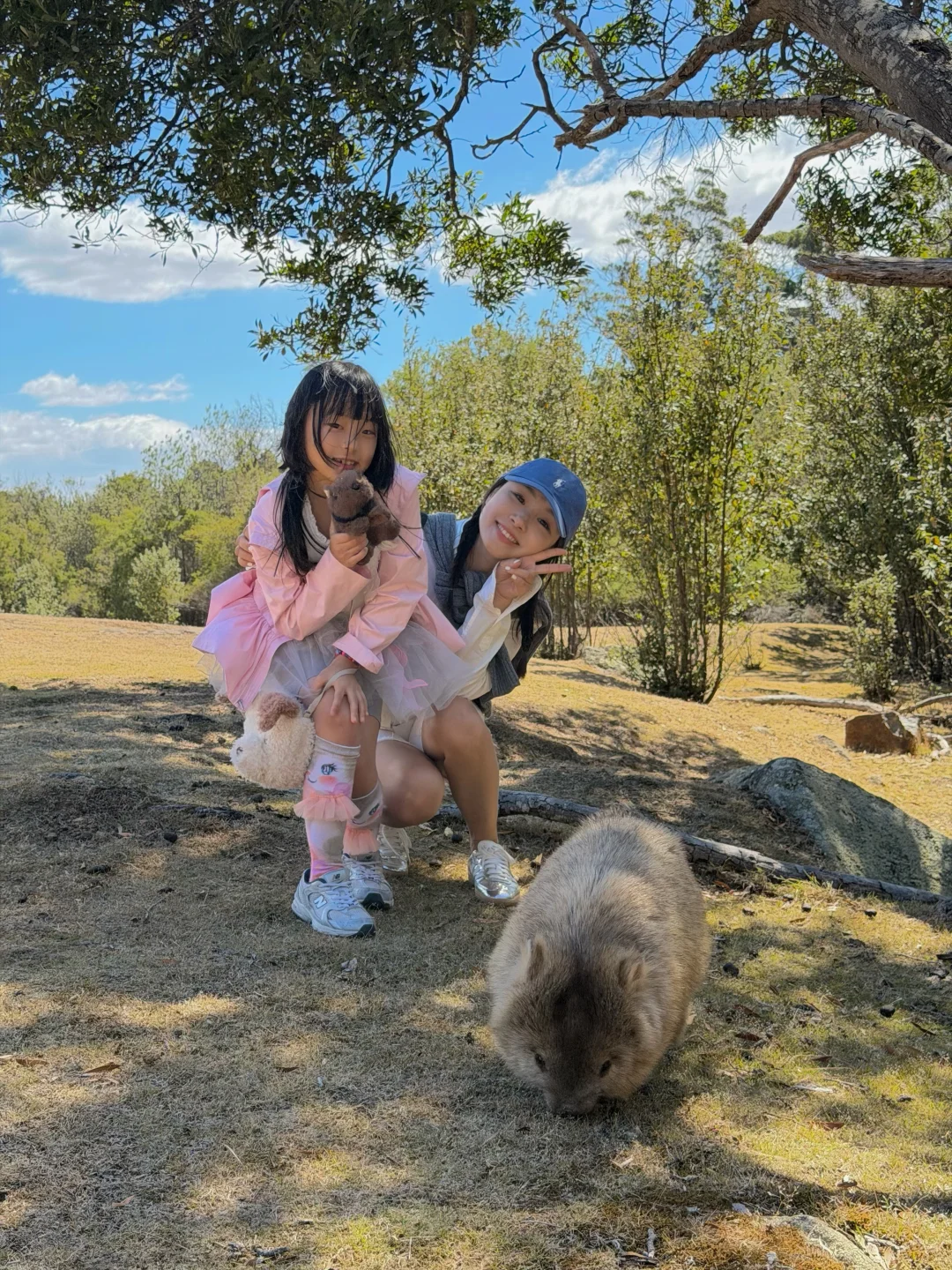 玛丽亚岛live🇦🇺遇见袋熊的幸运是同胞给的