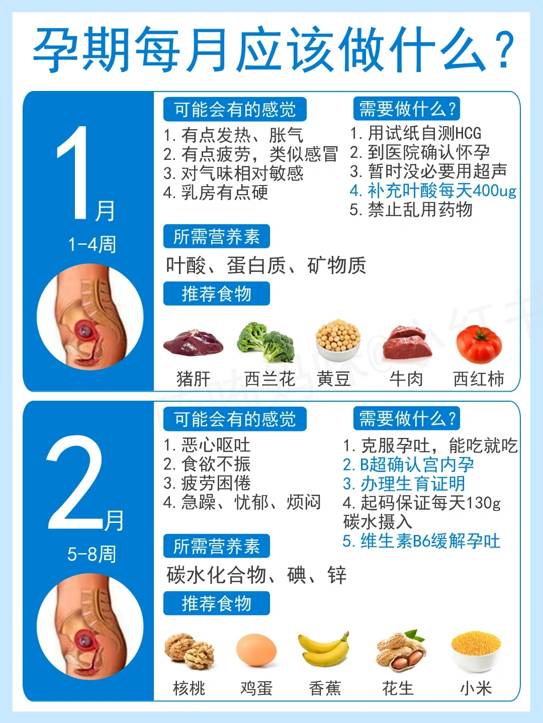 【孕期必备】怀孕每个月要做什么附营养攻略