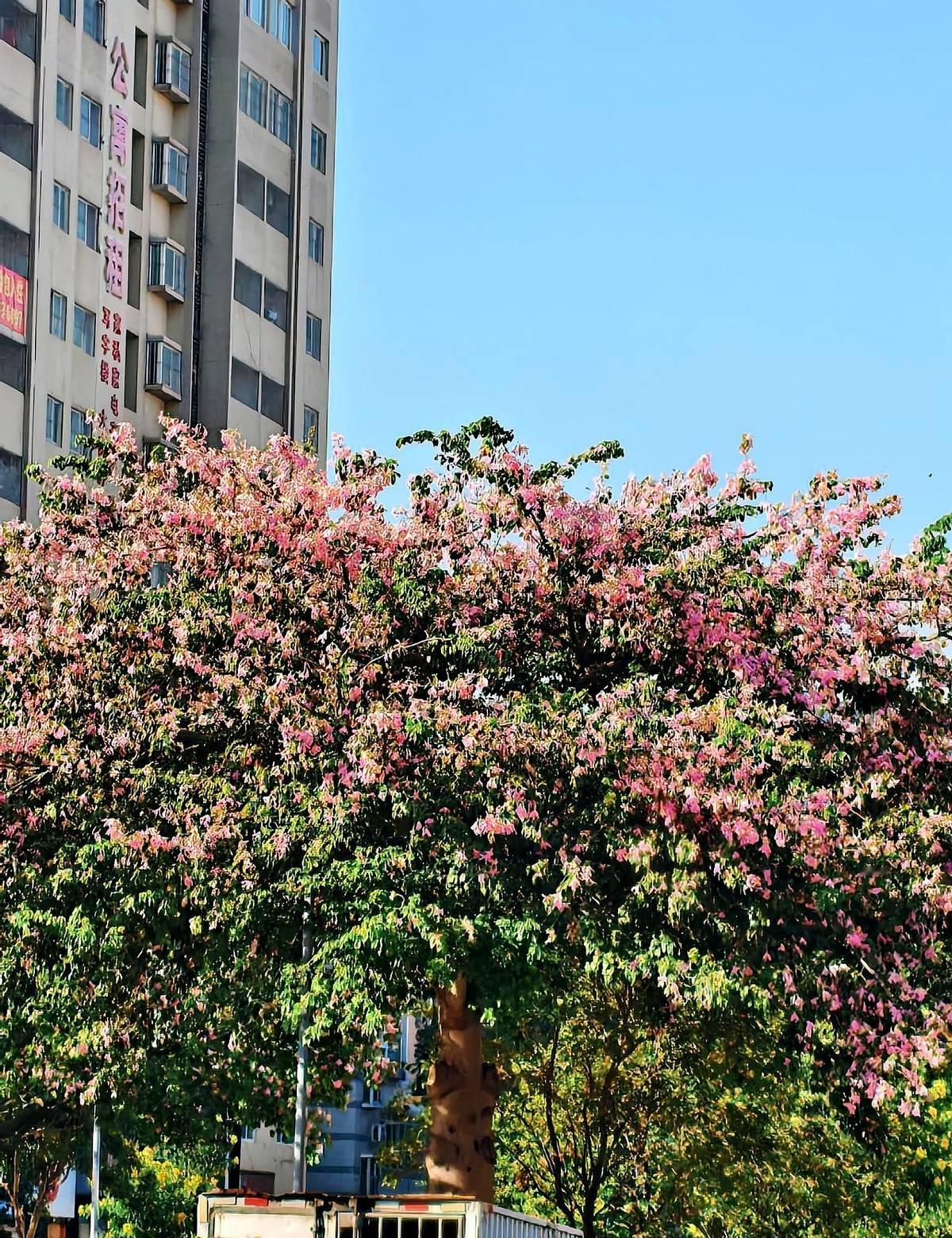 把“真爱”两个字打在聊天框里只需两秒，法院盖章它不值钱却要两年。
 社...