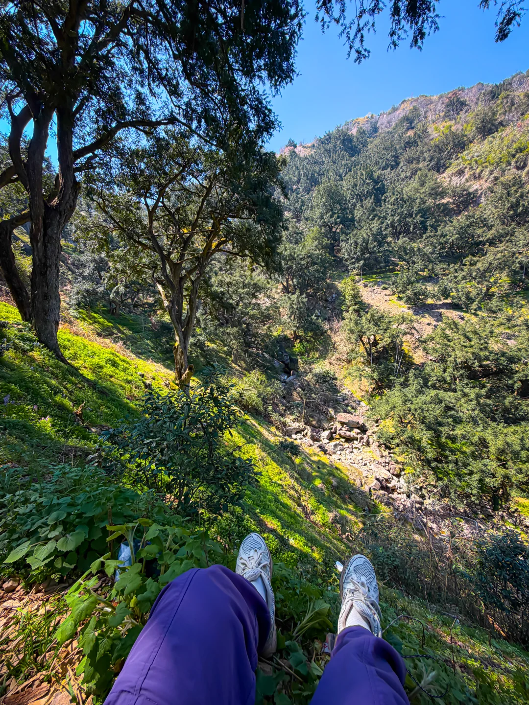 上海周边徒步路线⛰️每一帧都好看✨