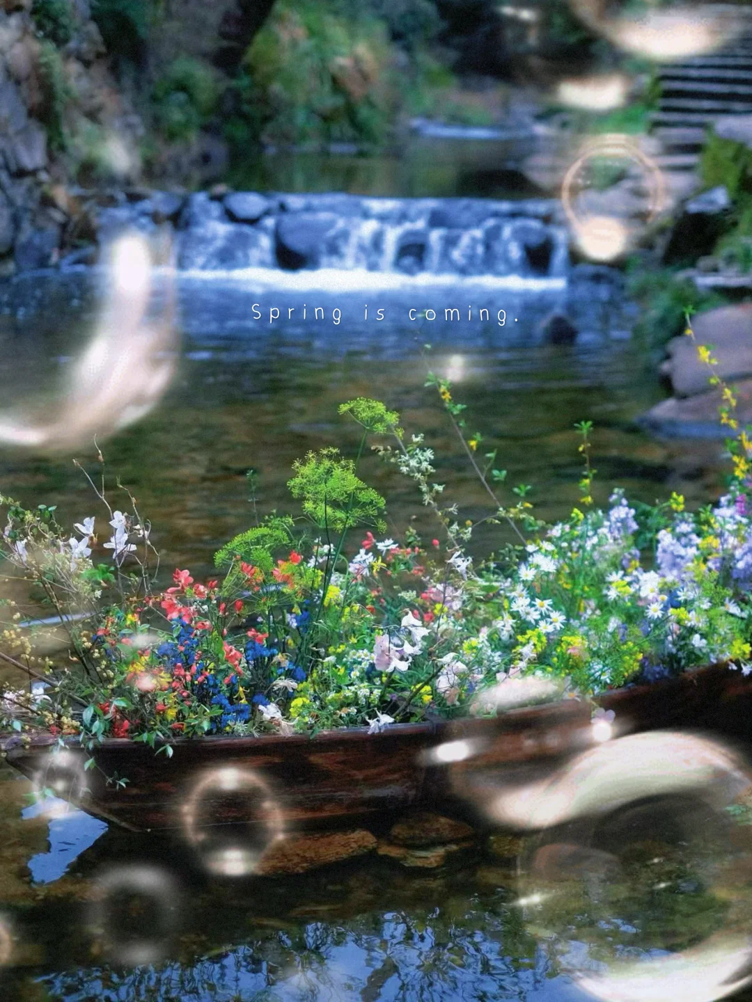 五一别扎堆✨这座600年古村太松弛了