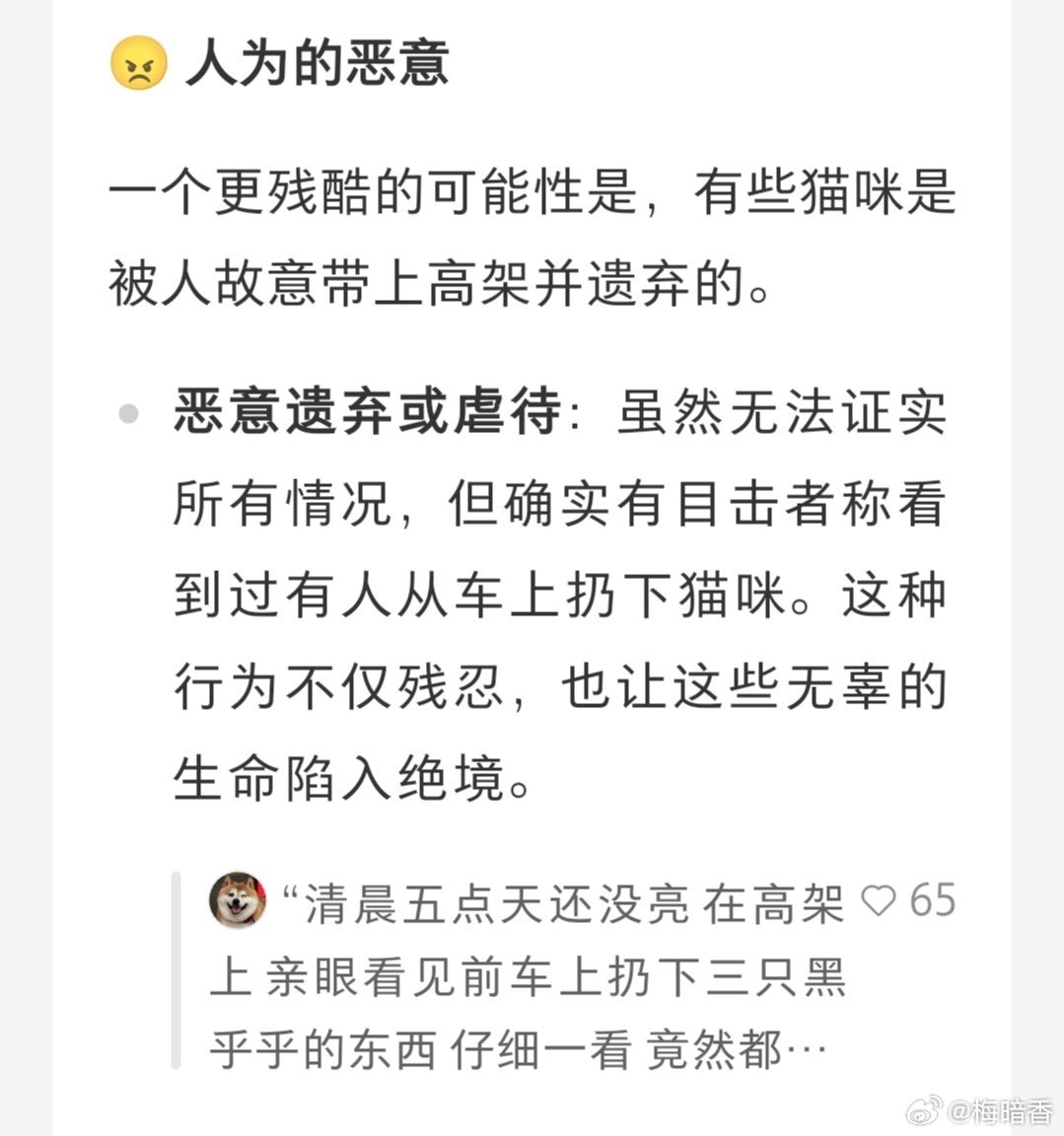 一些人的恶意在看到猫狗字样的时候，如同上足了发条的什么东西。一直在想，是什么原因让这些人如此？是怎样的人生让它们对小小的动物有如此的恶意？现实中的它们会是一个完整的人吗？高架猫是多年来的存在，各地高架猫的救援很多，包括我个人也救过数只高架猫，意外存在，人为同样存在。对生命存有恶意，是这些人的天性还是教育的缺失？高架猫动物