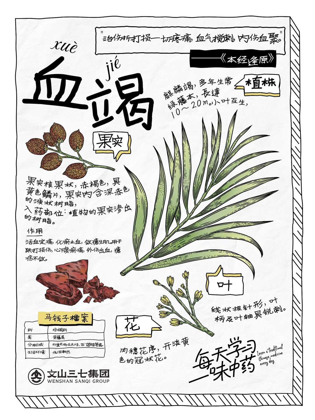 每天学习一味中药｜血竭