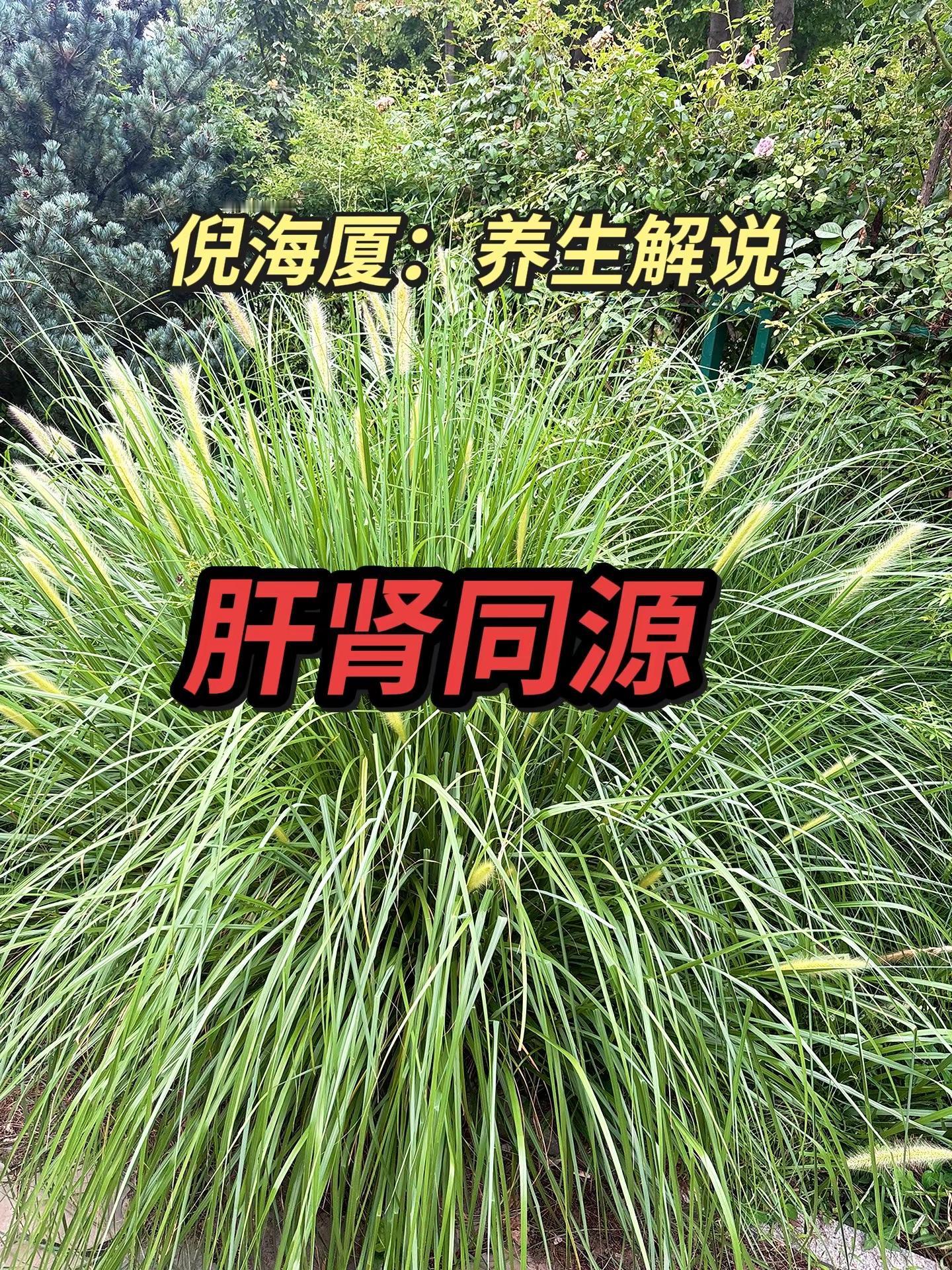 马刺还是太年轻了，关键失误&amp;绝杀不中，马刺主场再负尼克斯文班亚马文班亚马错失绝杀尼克斯105上104除胜马刺尼斯2比0卫刺
