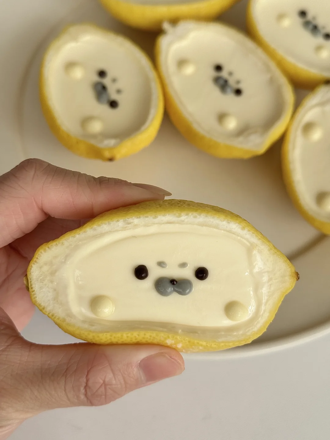 ૮(˶ᵔ ∞ ᵔ˶)ა小海豹柠檬panna cotta🍋