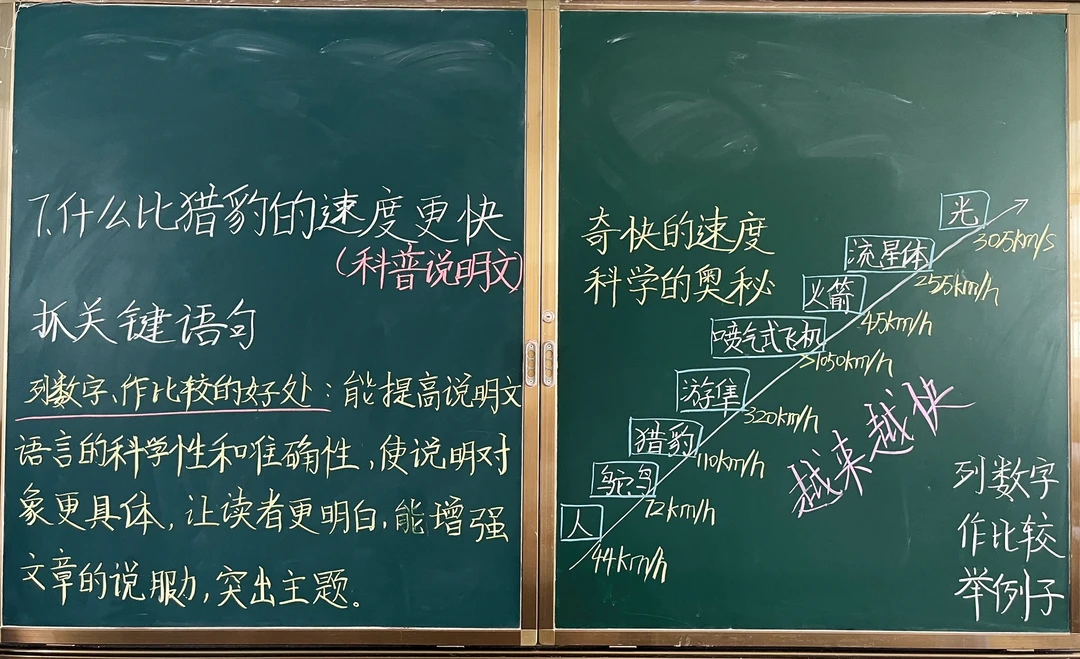 五上语文第7课《什么比猎豹的速度更快》板书