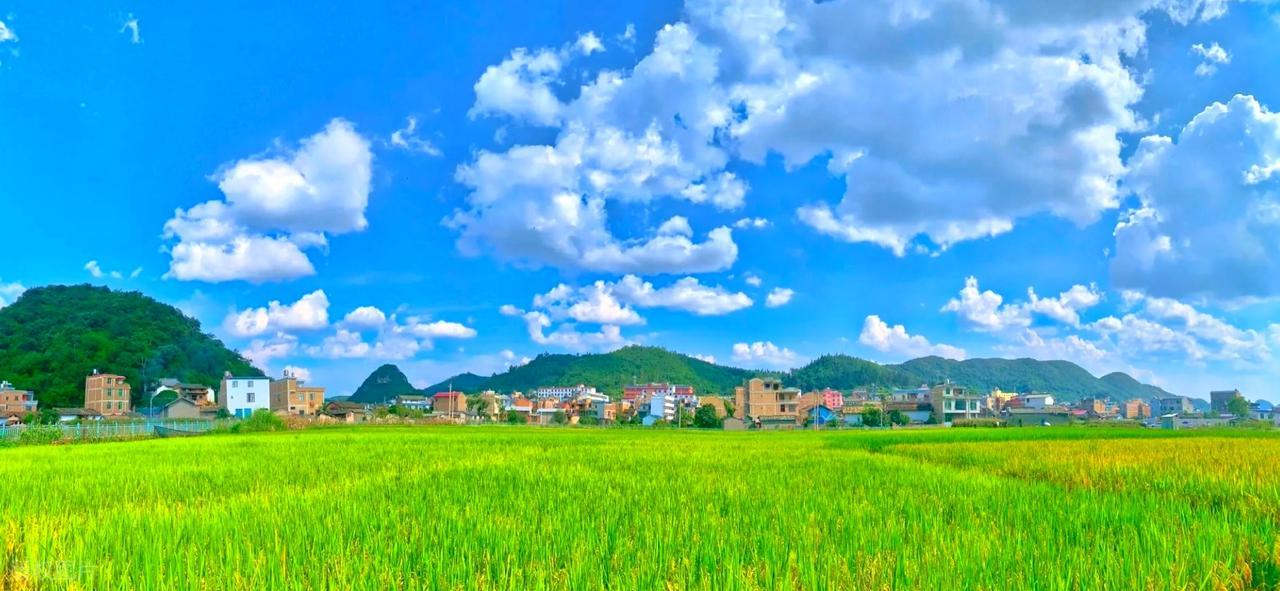 情绪稳定，才是成年人最顶级的自律