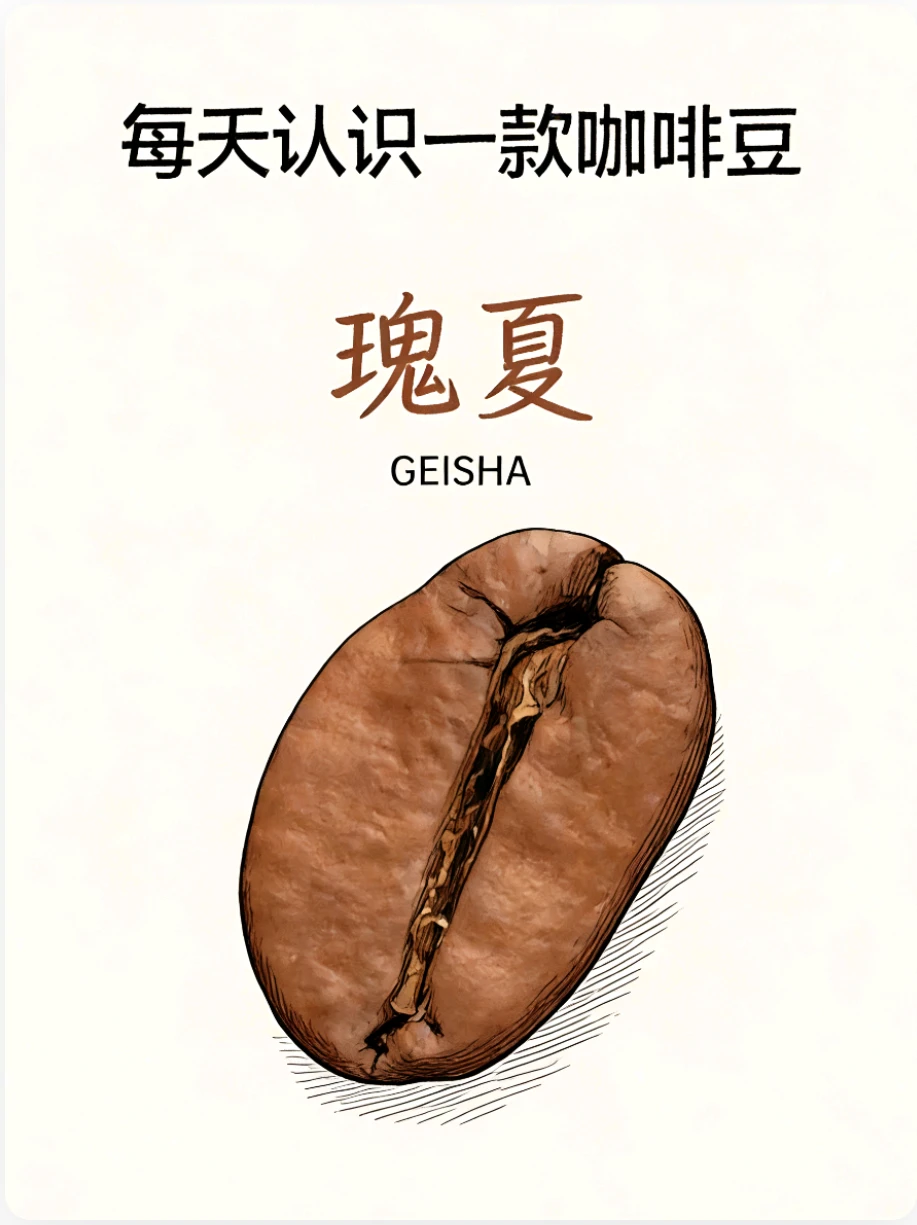 每天认识一款咖啡豆❗瑰夏咖啡豆介绍