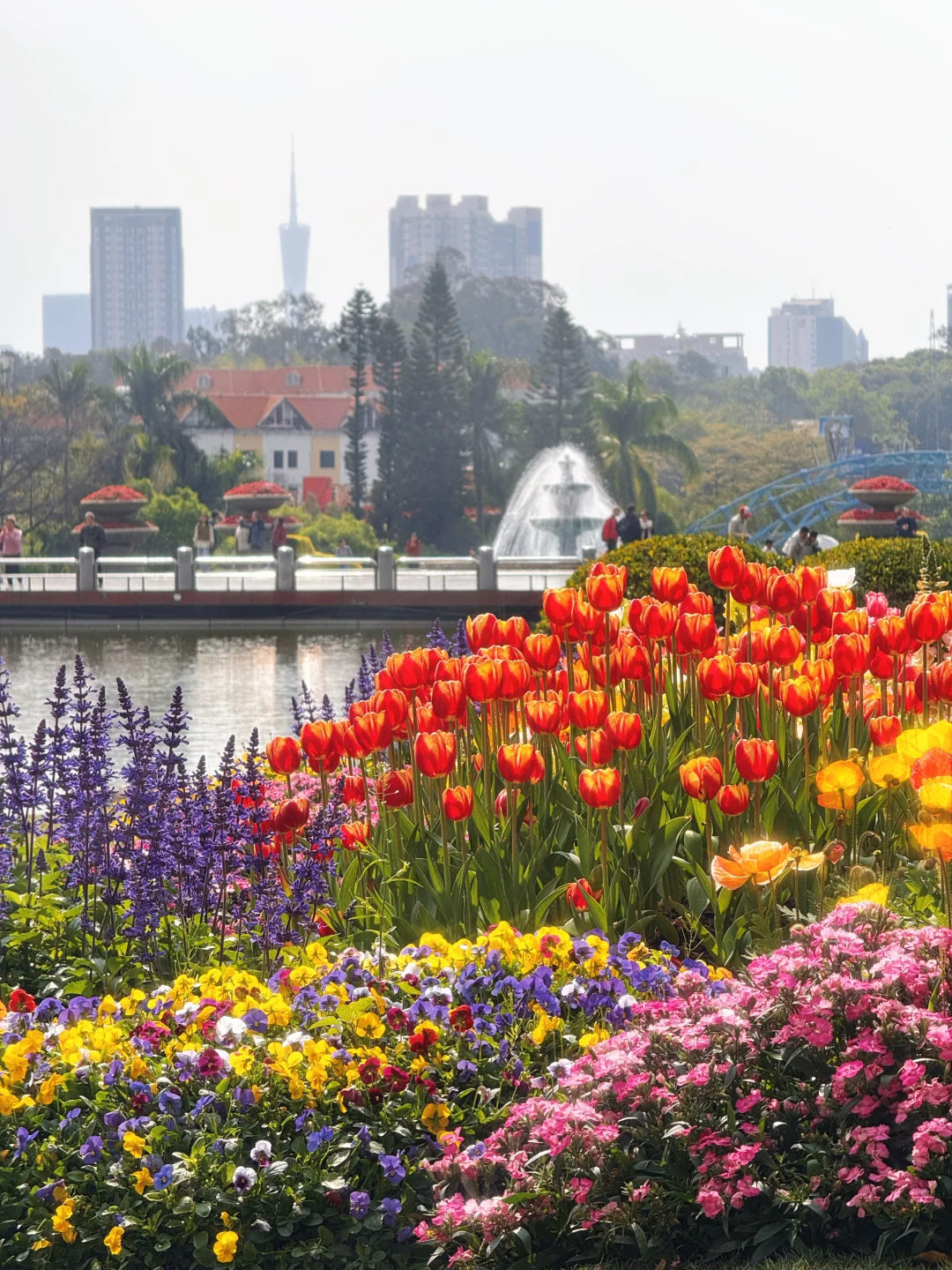 2.9实况live🌷在广州遇见了会发光的春天～