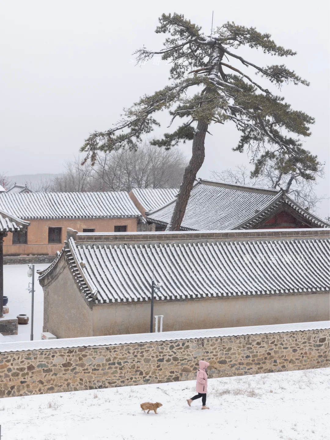 一下雪，灵岳寺就是全北京无敌的国风古刹