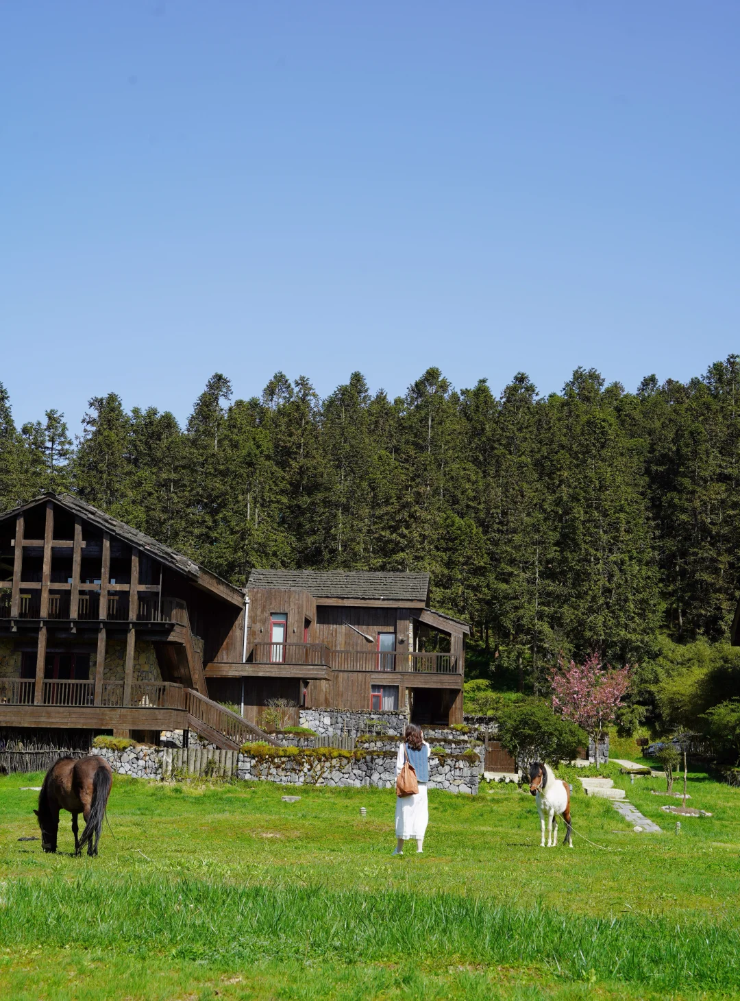 逃离重庆市区‼️仙女山治愈感直接拉满⛰️