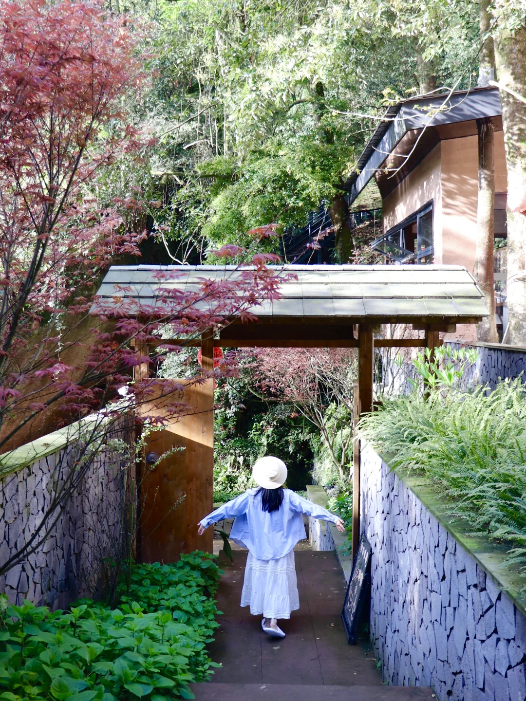 成都周末游，徒步山野看山涧萤火，住避世山林