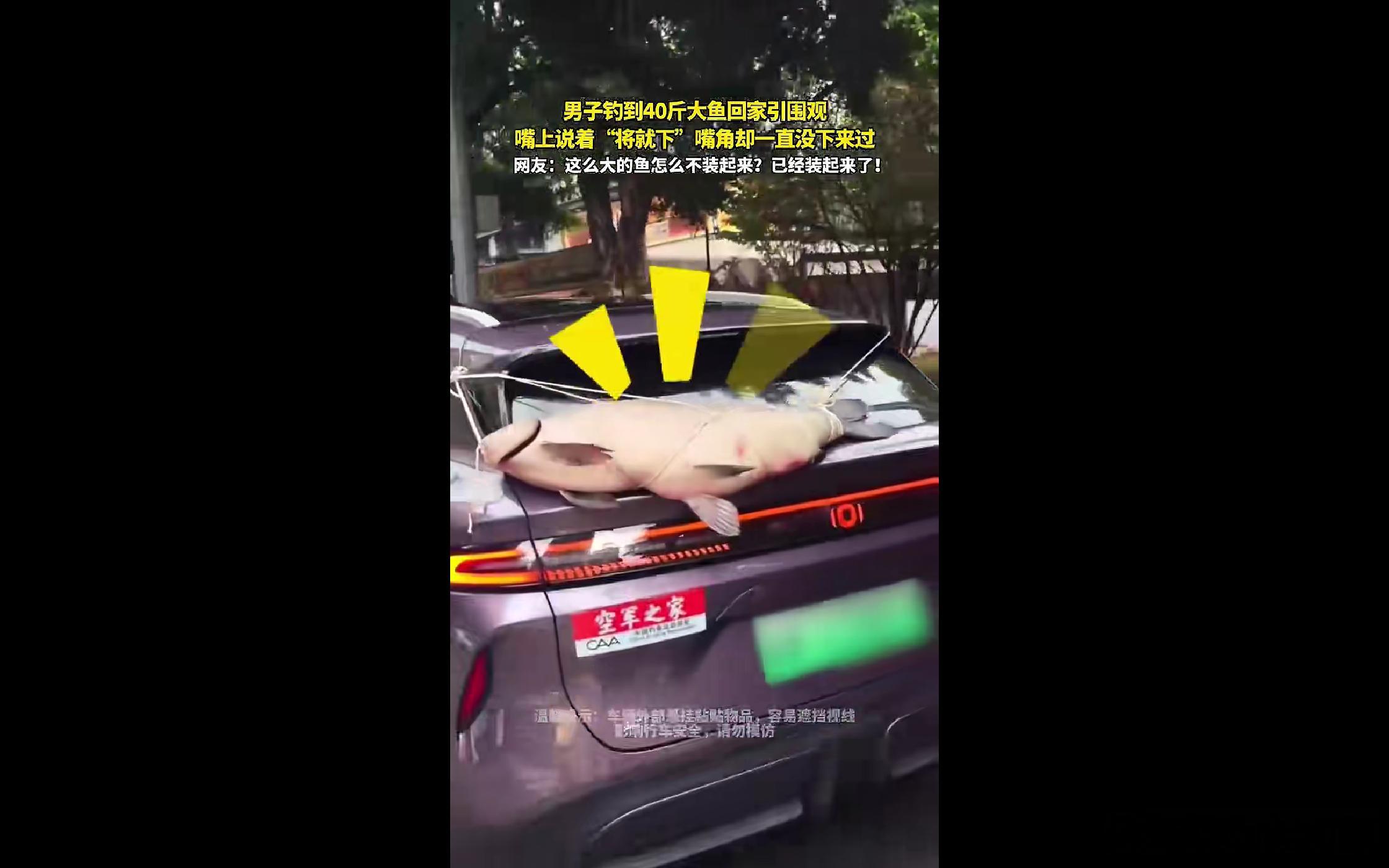 一辆车尾挂着大鱼的启源Q06缓缓驶过，四十多斤的青鱼尤其醒目，有意思的是，旁边“空军之家”的车贴和大鱼形成爆笑反差🤭，这一幕正好被后车拍下。面对后车好奇追问，大哥回应"鱼太大，前备箱不好放，只能挂外头将就下"😅，可这条巨物，782L拍一拍鲸吞级双层后备箱明明装得下，他偏要挂出去，让全 ​