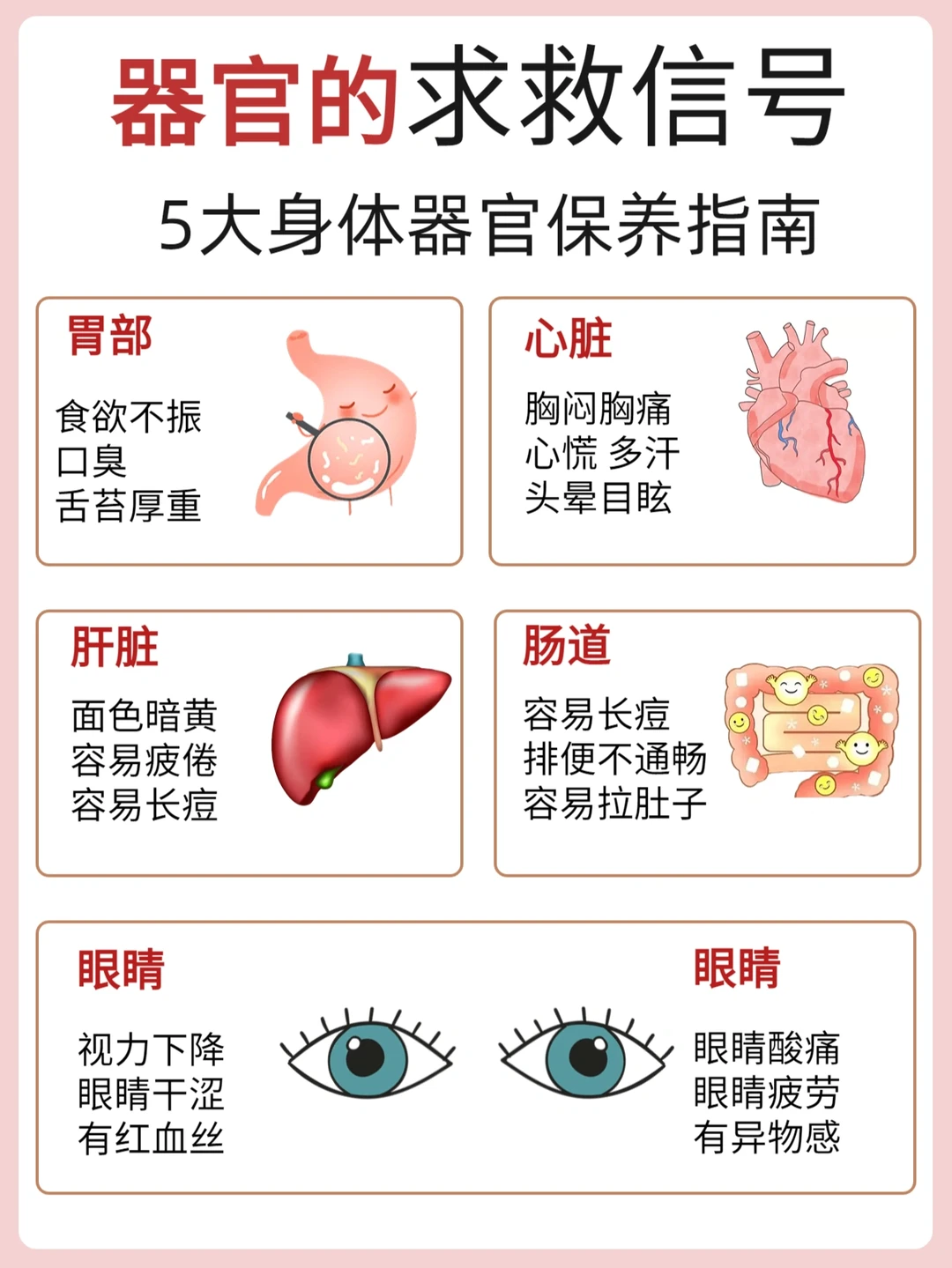 器官求救信号㊙️眼睛心脏肠胃保养吃什么？