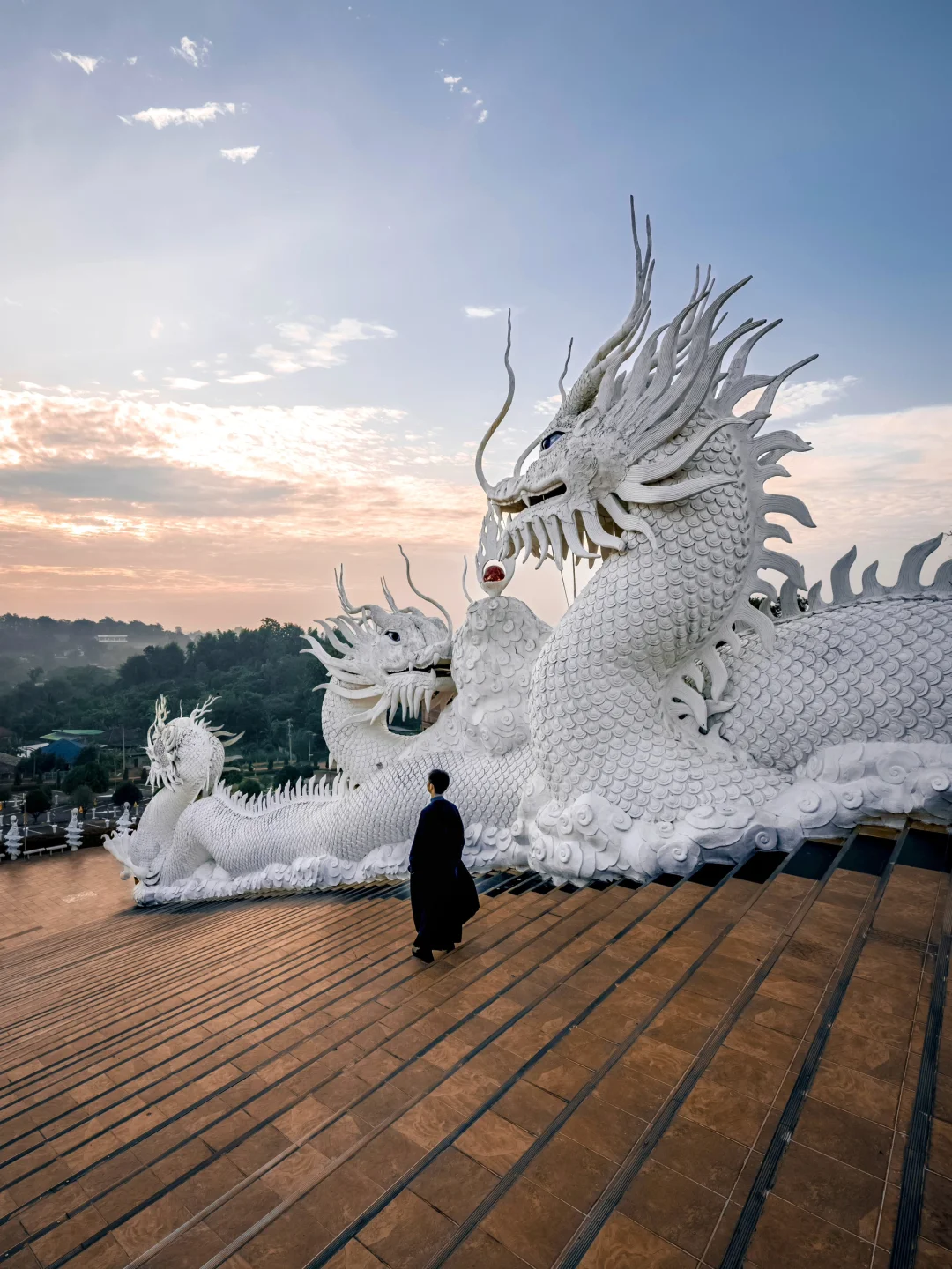 龙年在泰国小众寺庙🐉跟巨型盘龙合影太震撼