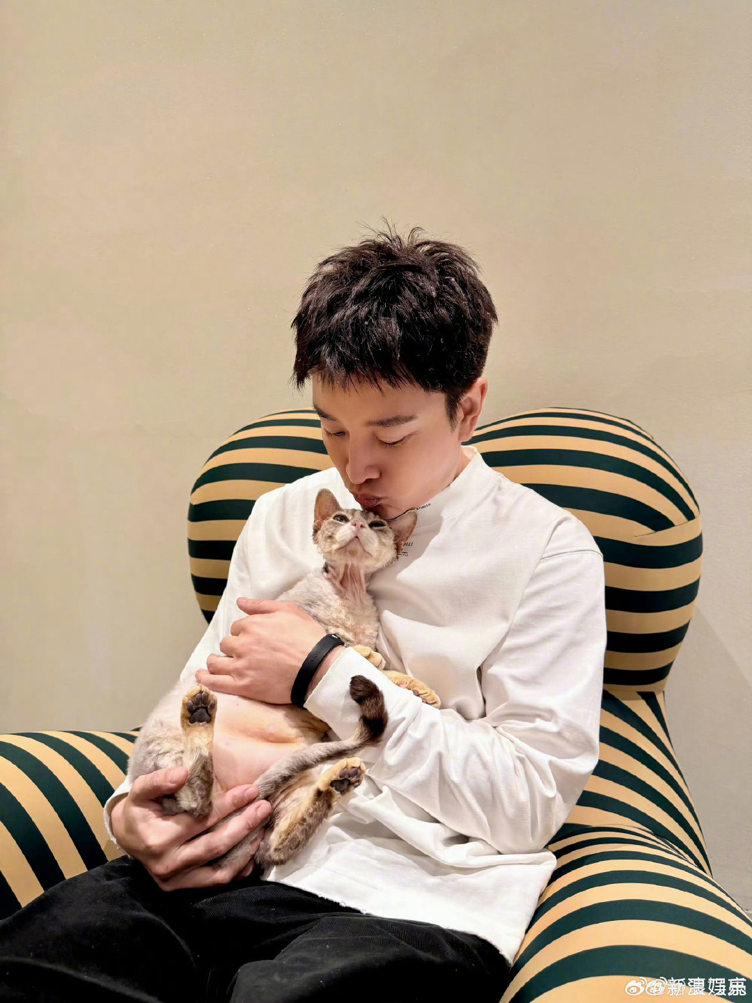 #贾乃亮否认有儿子#什么时候有传言的啊，最近咋都在传这类事情 ​