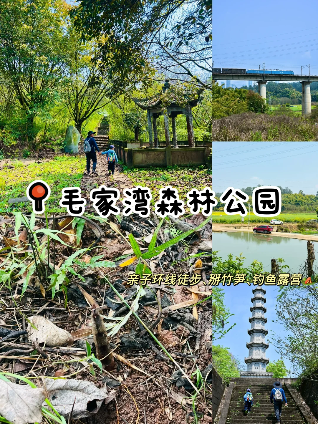 南门30min‼️超小众冷门亲子徒步掰竹笋🌲