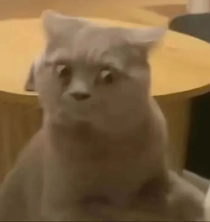 合法但有病的小丑猫表情包