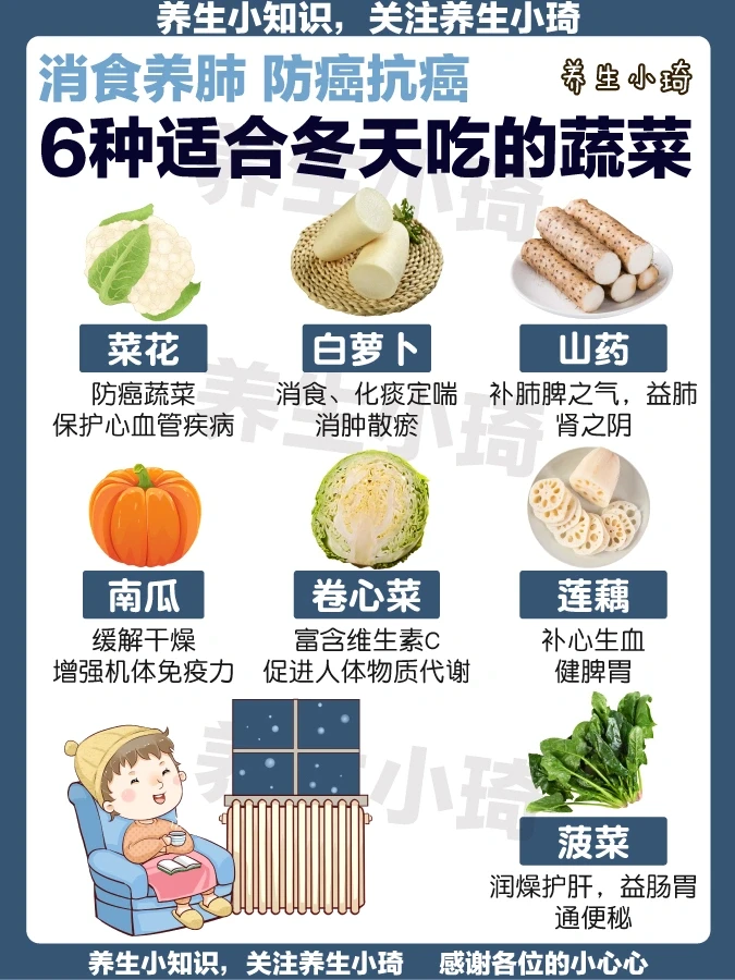 适合冬天吃的6种蔬菜｜消食养肺 养胃补肾