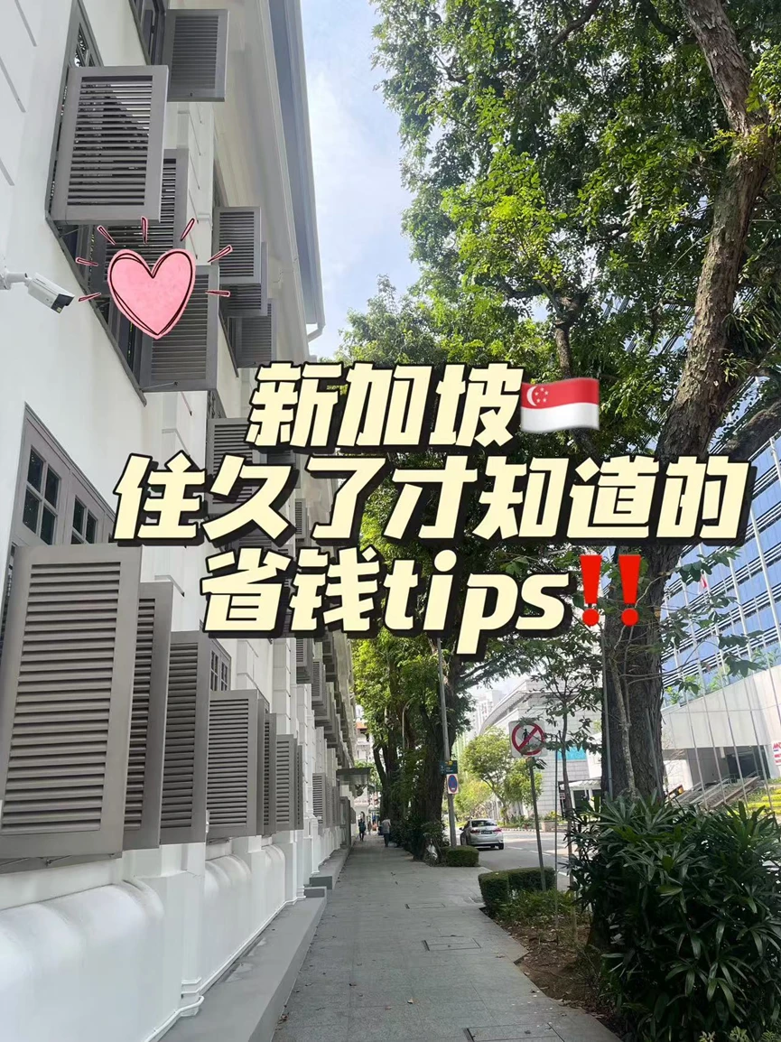 🇸🇬|住久了才知道的省💰tips‼️