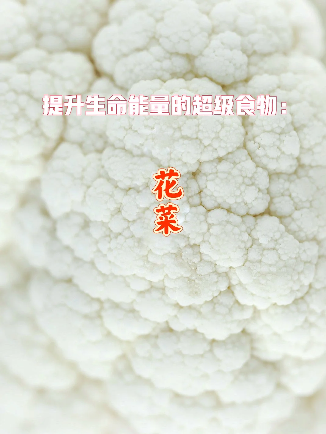 宇宙疗愈食物之：花菜