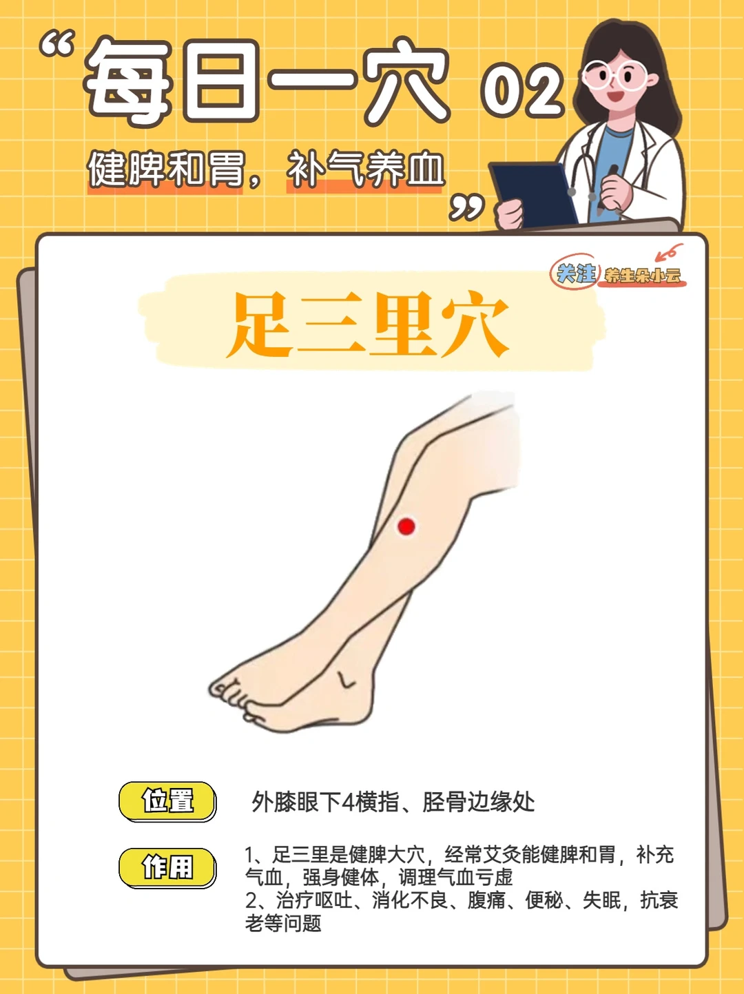 每日一穴打卡02✅足三里，健脾和胃，补气养血