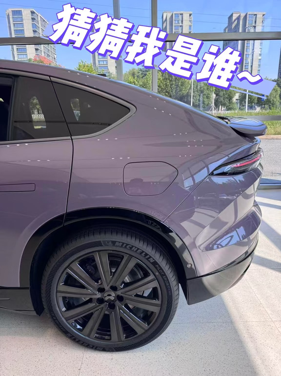 2026款蔚来EC6灵境紫💜
