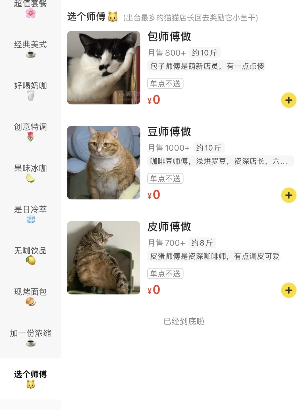 佛山好有意思的猫师傅小店！！！